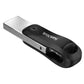 SanDisk 256GB iXpand Flash Drive Go, iPhone, iPad